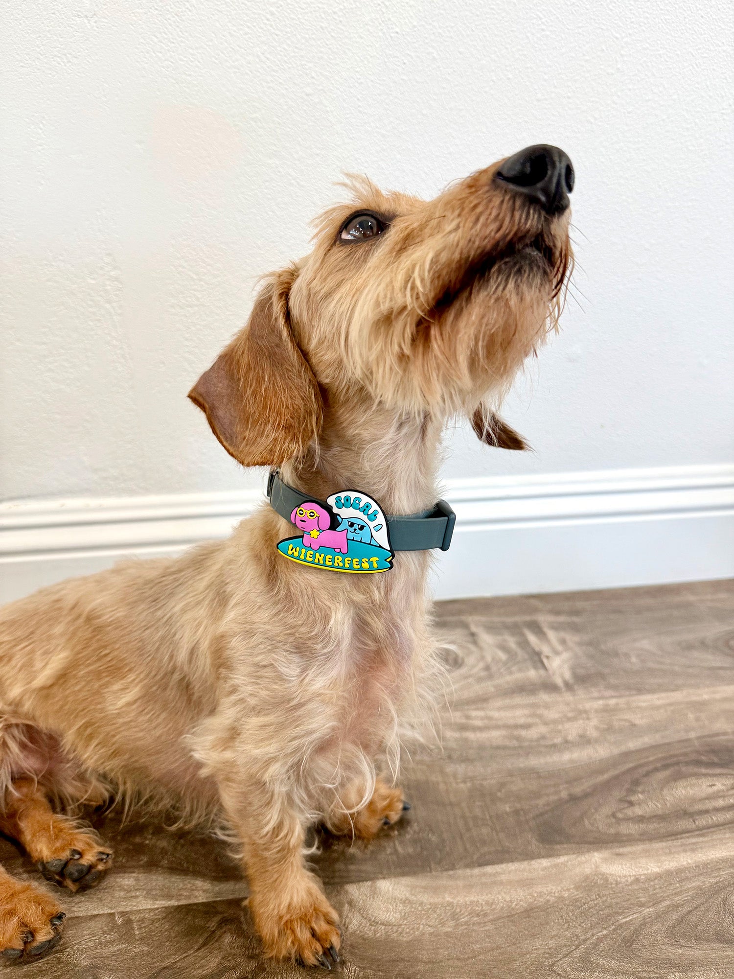 SoCal Wienerfest Jiby Dog Charm